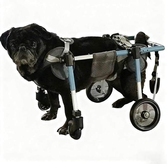 Mobility Aid for Dogs Back Legs Adjustable 4 Wheel Dog Wheelchair Cart Shock Absorbing All Terrain Wheels, Hind Leg Support for Paralyzed Disabled Senior Dogs Outdoor Use