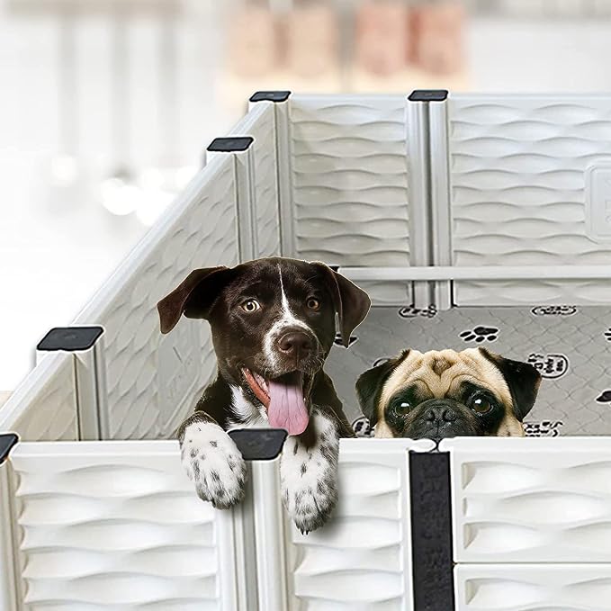EZclassic Dog Whelping Box with Rails, Medium 38"x38"x18", Gray | Removable anti-crush rails, Machine-washable pad + canvas liner, High walls, low entry for mom, Interior 38x38x18 in