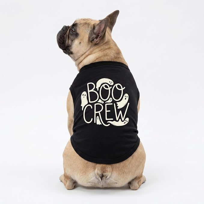 Fitwarm Boo Crew Halloween Dog Shirt, Spooky Costumes for Small Dogs Boy Girl, Funny Pet Outfit, Black, White, XL