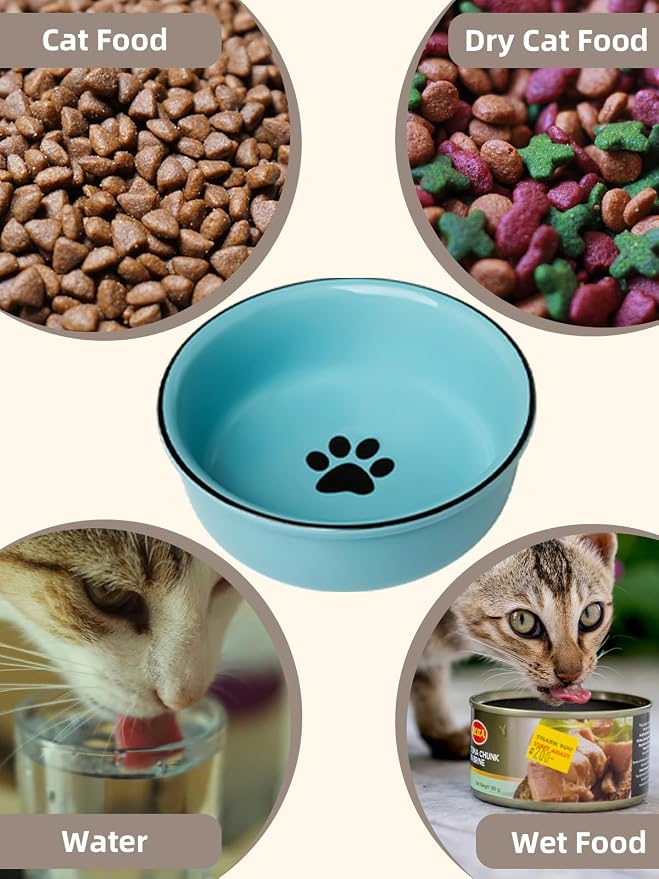 GDCZ Ceramics Raised Cat Bowls with Heighten Metal Stand,15 Ounces Turquoise