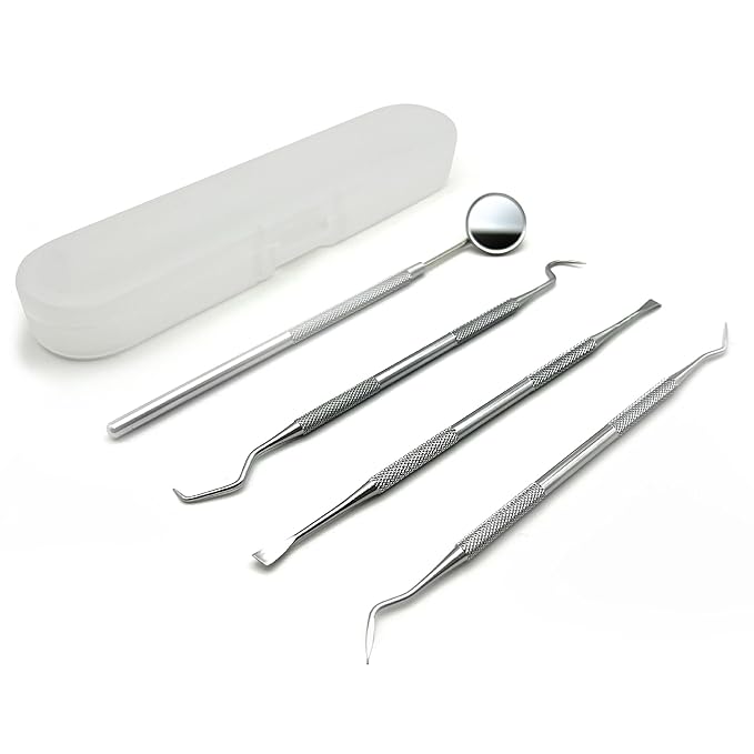 4 Pack Dental Tools for Teeth Cleaning, Professional metal toothpick home oral care kit,Stainless steel dental scraper, plaque remover, with storage box, dentist-grade, pet oral care kit.