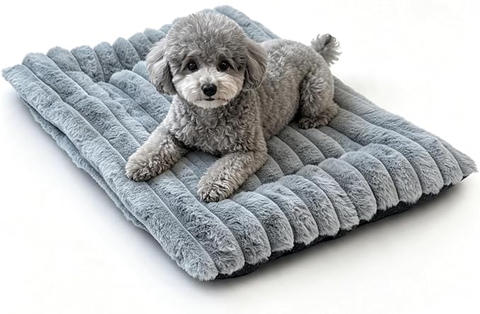22 Inch Ultra Soft Comfy Pet Bed, Tiny Dog Bed, Washable Anti-Slip Crate Pad Sleeping Cushion Mat for XX-Small Dogs, Indoor Cats & Cat Carrier, Grey