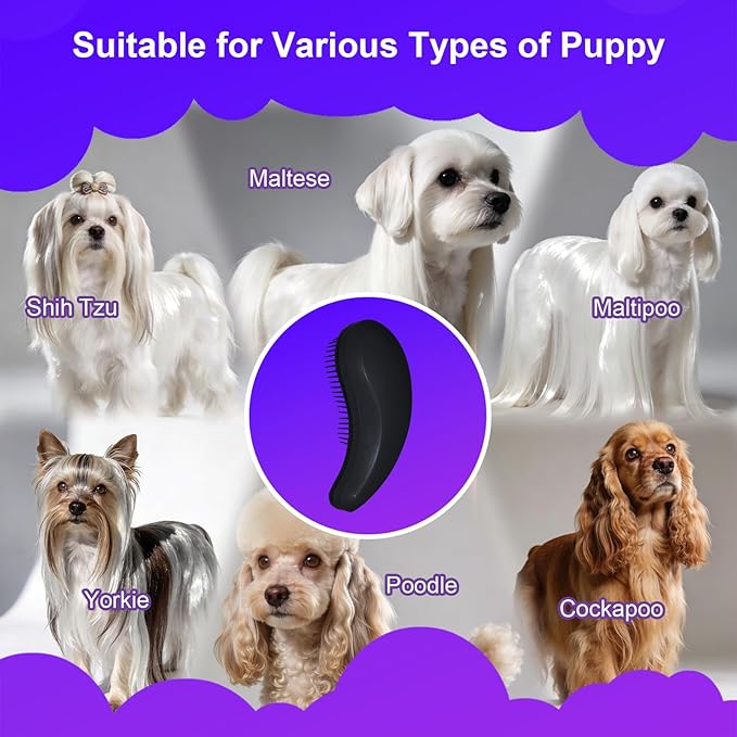 Small Dog Brush- Grooming Tool for Teddy, Yorkies, Maltese, Shih Tzu, Chihuahua - Puppy Hair Brush (Black)