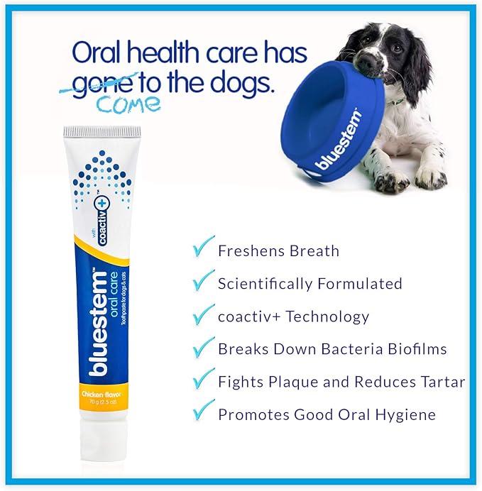 Dog Toothpaste : Chicken Flavor Tooth Paste for Dogs & Cats. Teeth Brushing Cleaner Pet Breath Freshener Oral Care Dental Cleaning Kit. Tartar & Plaque Remover Brushes