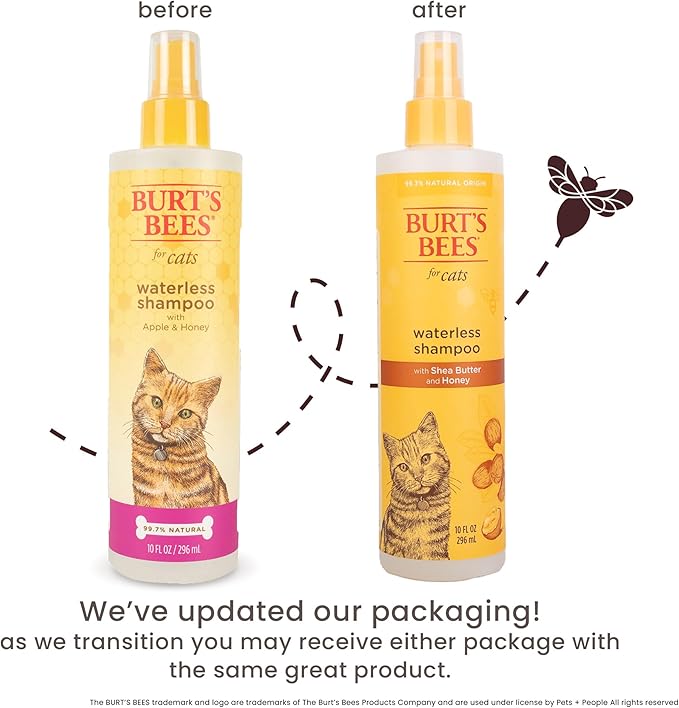 Burt's Bees for Pets Waterless Cat Shampoo Spray, No-Rinse Cat Dry Shampoo with Shea Butter & Honey for Gentle Cleaning Between Baths, pH Balanced, No Harsh Detergents, 10 Fl Oz - 6 Pack