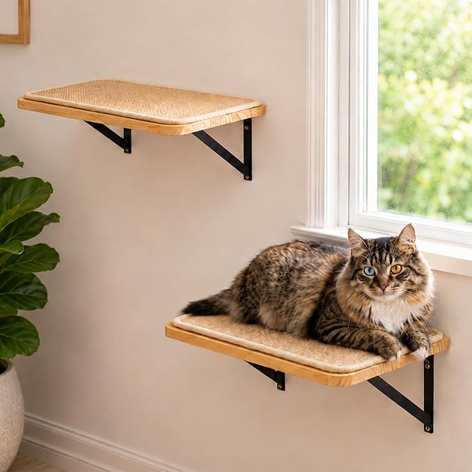 2PCS Cat Wall Shelves with Scratching Mat, 16.6x9.7 Inch Solid Pine Wood Wall Mounted Kitten Floating Shelf, Window Perch Hammock, Cats Wall Furniture for Cats Sleeping, Playing, Climbing