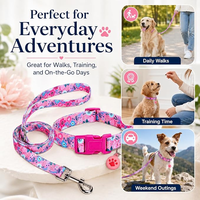 Floral Matching Dog Collar and Leash Set with AirTag Holder-Rose Daisy/M | Anti-Lost,Adjustable Durable Pet Collar Leash Combo for Medium Boy Girl Dogs,for Outdoor Walking Hiking Training Running