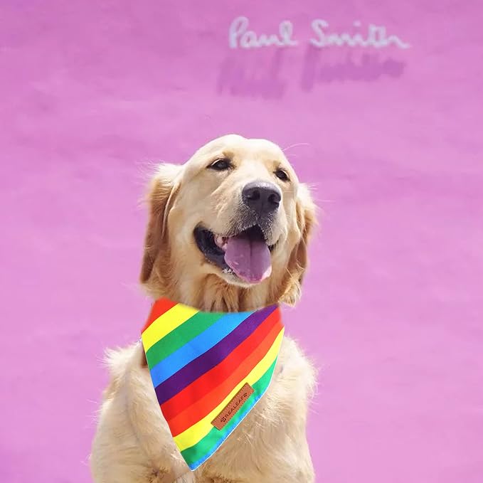 Realeaf Pride Dog Bandanas 2 Pack, LGBT LGBT+ Rainbow Scarves Bibs for Dogs, Premium Durable Fabric, Triangle Reversible Bandana for Small Medium Large and Extra Large Dogs Pets (Pride Day, Small)
