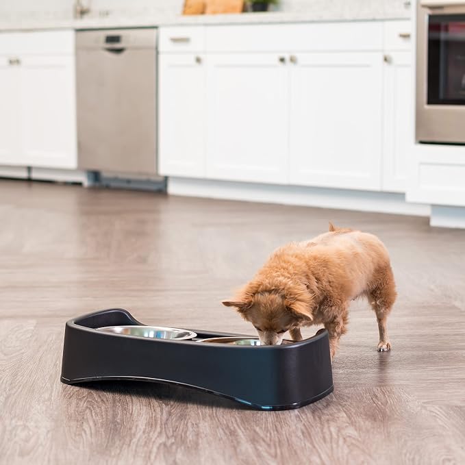 IRIS USA Elevated Dog Bowls, Dual Height 4.63" or 12.25" Made in USA, Black | Includes 2 Stainless Steel Bowls (64oz), Spill Guard, Height Adjustable, Non-Slip Feeder, Helps Reduce Neck Strain