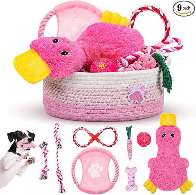 Zopeal Dog Toy Gift Basket Set for Puppy Birthday, Pink