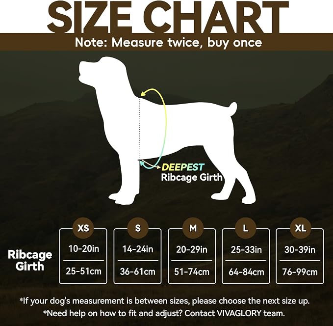 VIVAGLORY No Pull Dog Harness Vest Harness, S, Hunter Teal - Plain | with Handle Front and Back Clip for Training & Pulling, No Pull & Escape Proof Padded Adjustable for Pet Puppy