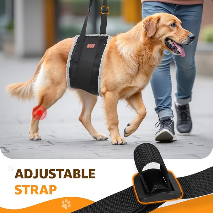 Adjustable Dog Sling for Large Dogs Hind Leg Support Weak Legs Mobility Aid | Dog Lift Harness, Helps Seniors, Injured, Disabled and After ACL Surgery Dogs, Daily Walk/ Stairs, Soft Padded, Easy to Use
