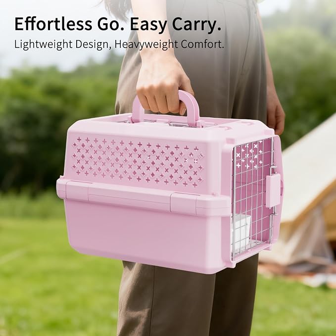 XS Hard Pet Carrier: Travel Crate for Small Cats & Dogs 10 lbs | Secure Locking Wire Door / Compact 16.9" x 12" x 11.8" / Multi-Side Ventilation / Lightweight Shell / Includes Food Bowl