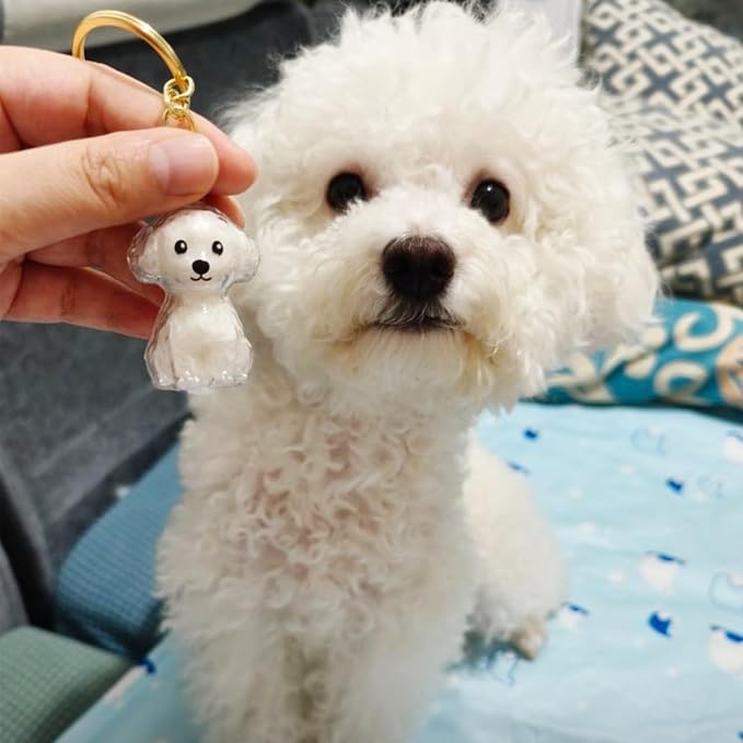 Cute Dog Hair Keychain Transparent Pet Fur Keepsake with Tweezer | Portable Dog Fur Keychain DIY Pet Hair Memorial Keepsake Dogs Hairs Collector Charm Storage Box, Dogs Lover Collecting Gifts