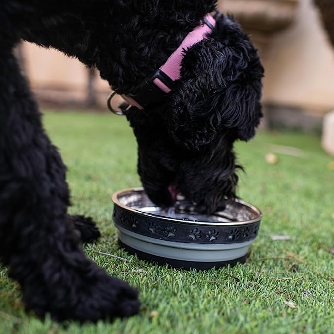 Loving Pets Corsa Dog Bowls- Stainless Steel Dog & Cat Bowls - Spill Proof Dog Food Bowl, Cat Bowl, Puppy Essentials & Pet Supplies Great for Home & Travel (Medium 20-35 lbs, Stealth Black)