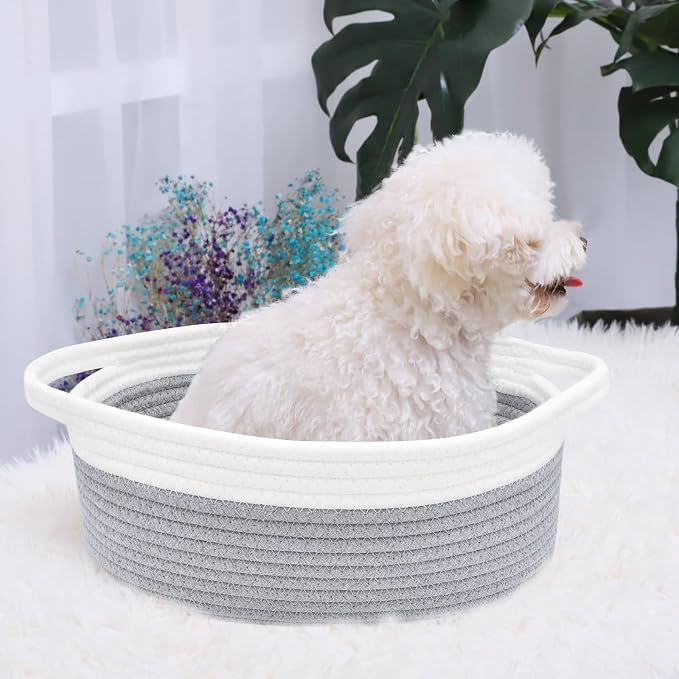 ABenkle Small Basket with Handles, Boho Decorative Rope Woven Dog Cat Toy Storage Bin Shelf Storage Organizer, Easter Christmas Gift Basket, 12"x8"x5", Grey