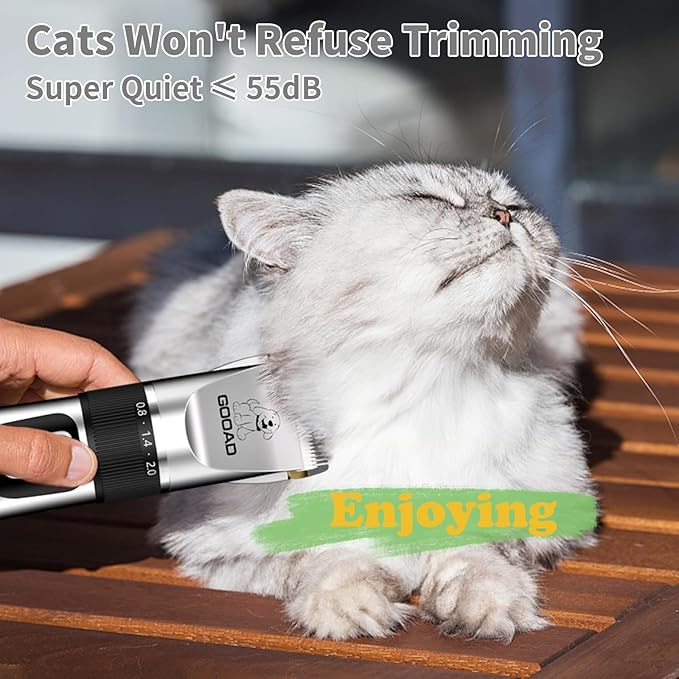 Cat Clippers for Matted Hair, Cordless Low Noise Pet Shaver & Grooming Kit with Paw Trimmer for Dogs and Cats, Professional Detangler for Thick Coats (Silver)