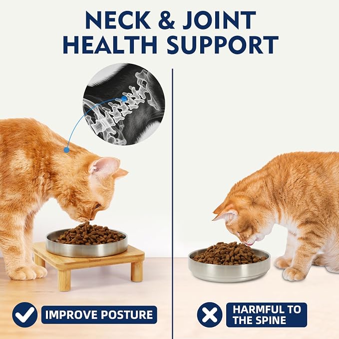 DoogCat Raised Cat Bowl, Elevated Cat Bowls with Bamboo Stand, Set of 2 | Premium Stainless Steel Bowls, Adjustable Height, Whisker-Friendly Design, Elevated Feeding, Easy to Clean