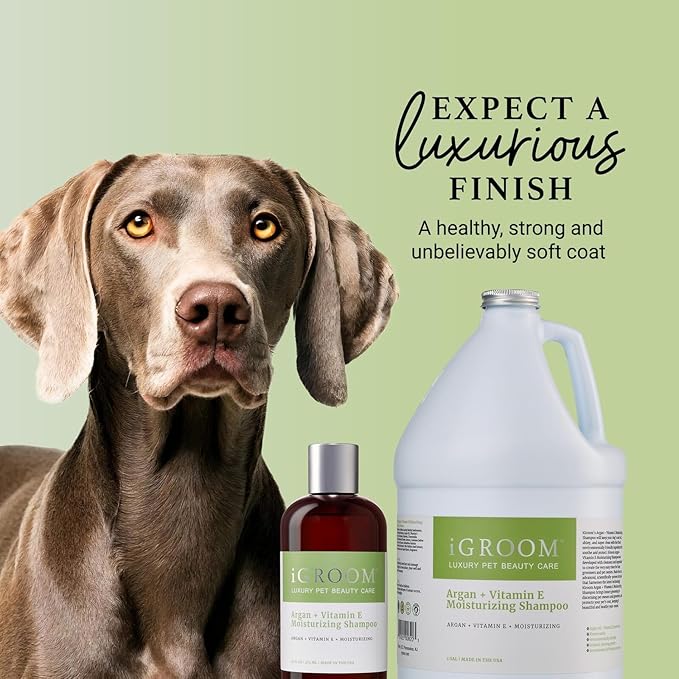 iGroom Argan+Vitamin E Dog Shampoo, Groom Like a Professional, Enhanced Cleaning Power, Recommended pH Balance, Made in USA, Gallon