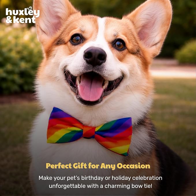 Huxley & Kent Pet Bow Tie for Dogs & Cats, Equality, Large/XLarge | Hook & Loop Attaches to Any Collar, Soft Polyester, Lightweight & Machine Washable, Perfect for Holidays & Photos