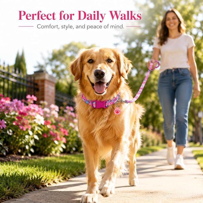 Floral Matching Dog Collar and Leash Set with AirTag Holder-Rose Daisy/M | Anti-Lost,Adjustable Durable Pet Collar Leash Combo for Medium Boy Girl Dogs,for Outdoor Walking Hiking Training Running
