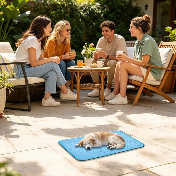 Pet Cooling Mat - Anti-Slip Sleeping Cushion for Puppy | Washable Summer Cat Cooling Pad for Puppy Kitten Floor Sofa Crate Home Travel Bedding Small Medium Dog Kennel