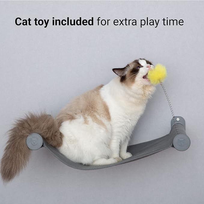 Wall Mounted Cat Hammock with Toy, Easy-to-insall Cat Wall Shelf with Soft Pad on This Premium Kitty Furniture, Modern Design. Easily Supports up to 40 lbs (Easy-Install, Dark Grey)