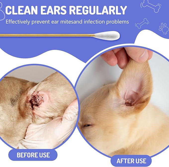 200PCS Large Cotton Swabs in Storage Box, 6 Inch Dog Ear Swabs with Bamboo Handle for Dogs - Soft Cotton, Gentle and Lint-Free, Specially Designed for Dogs (Large)