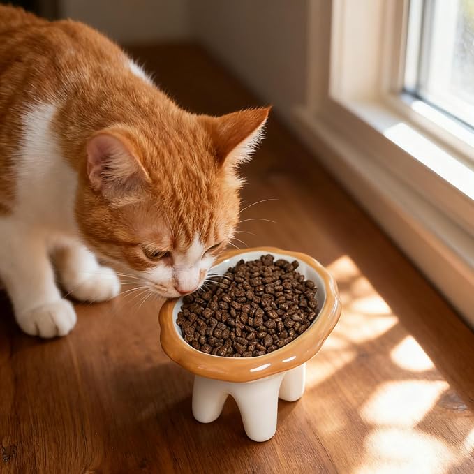 Lion Themed Tilted Ceramic Pet Bowl - High-Raised Cat/Dog Dish, 15° Anti-Regurgitation, 120g Large Capacity