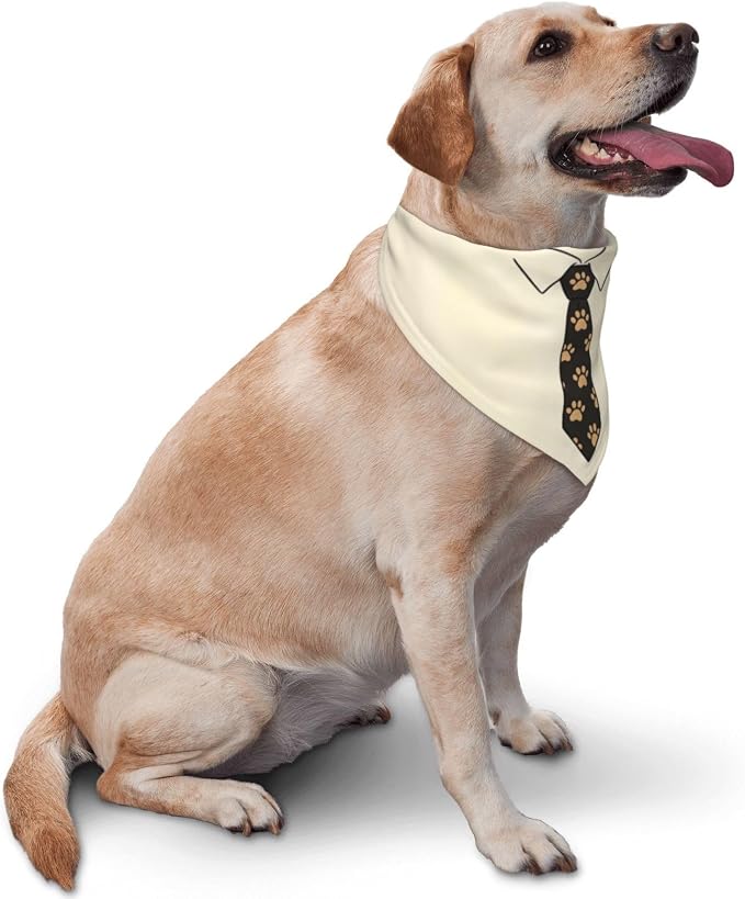 Teacher's Pet Dog Bandana,Funny Bandana Gift,Photo Prop Accessories for Dog Lovers Owner Gift,Triangle Reversible Fall Scarf, Adjustable (Yellow Tie)