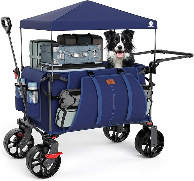 EVER ADVANCED Folding Push Wagon with Canopy, Shopping Cart with Brakes | Portable Collapsible Wagon Cart with All-Terrain Big Wheels for Camping, Beach, Sports