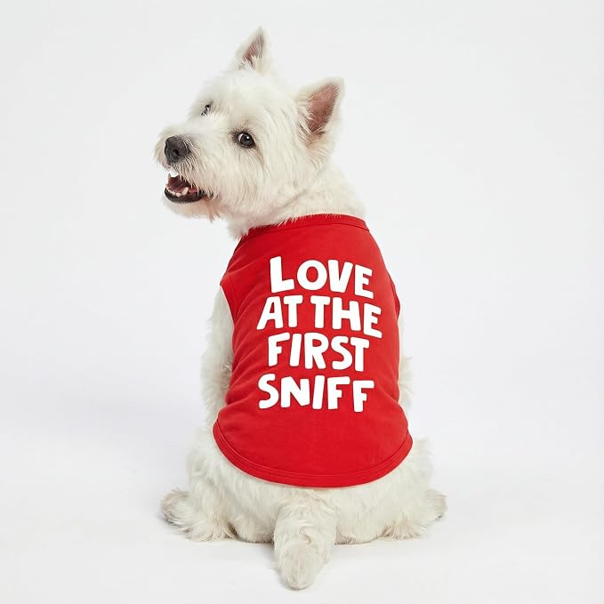 Fitwarm Love at The First Sniff Shirt, Valentines Outfit, Summer Clothes for Small Dogs Boy Girl, Funny Tshirt, Lightweight Breathable Cotton, Pet Cat Outfit, Red, XL