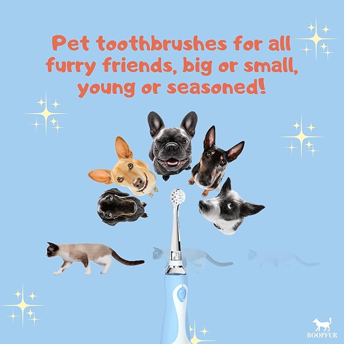 Generic Pet Electric Toothbrush for Dogs and Cats with LED Light & Soft Bristles, Blue/White