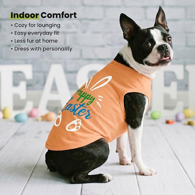 Fitwarm Happy Easter Bunny Dog Shirt, Easter Dog Clothes for Small Dogs Boy Girl, Cute Pet Outfit, Green, Blue, White, Orange, XXL