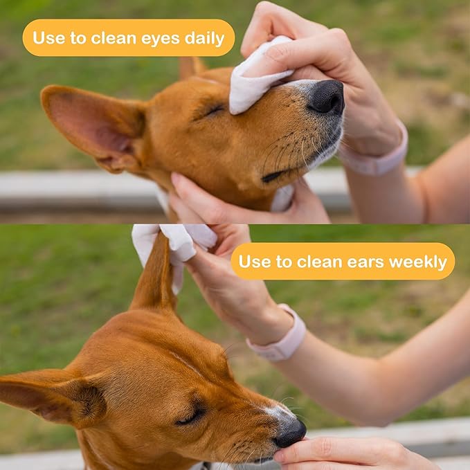 SONO Dog Wipes with Aloe & Chamomilla - Gentle Pet Wipes for Paws, Butt, Face & Body - Cleaning, Deodorizing, Puppy & Cat Friendly - Unscented, 100 Count