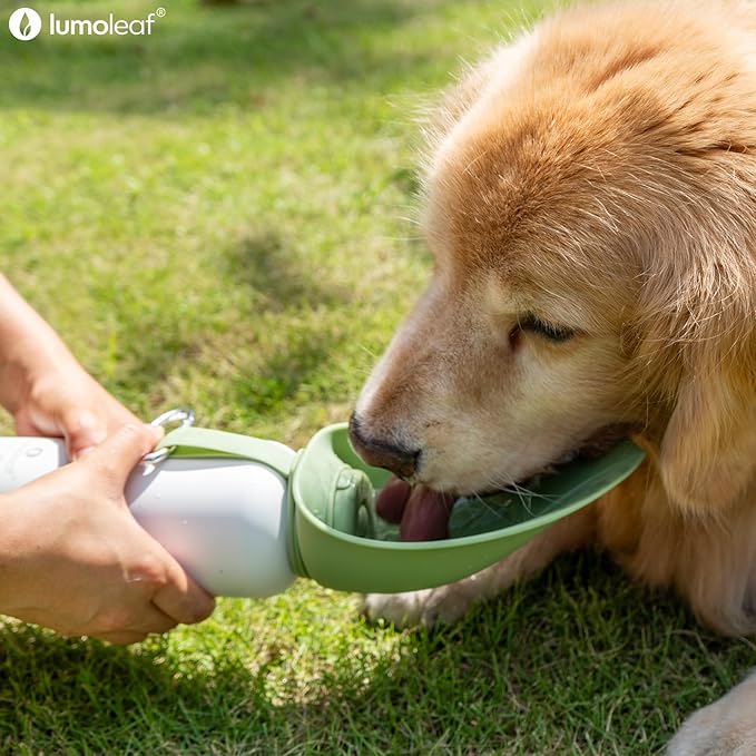 LumoLeaf Insulated Dog Water Bottle 27 oz Stainless Steel - Keep Water Cool or Warm, Portable Pet Water Bowl for Travel, Wide Mouth for Easy Ice Filling & Cleaning (Green, 27 oz)