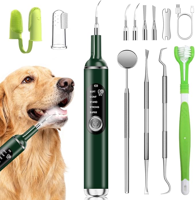 Dog Plaque Remover for Teeth,Pet Ultrasonic Tooth Cleaner,Green | dog teeth cleaning,plaque remover for teeth,dog tartar and plaque remover,plaque off for dogs,5 Mode Pet Teeth Cleaning Kit