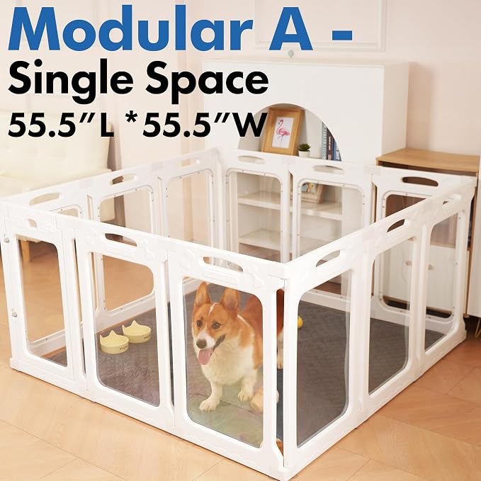 Clear Acrylic Indoor Dog Playpen, 30" H, 12 Panels, White | Open View, Modern Home Fit, No Climbing Bars, Tool-Free Setup, For Puppies & Small Dogs