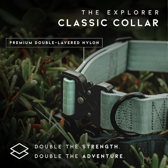 MADE TO ROAM Explorer Dog Collar | Heavy Duty Nylon & Durable Metal Buckle | Premium adjustable collar with rust-resistant hardware. Fits small to large dogs. 15 colors. Matching leash & harness