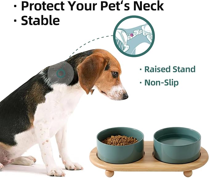 Havniva Raised Cat Bowl, 6.1” Elevated Ceramic Cat Food and Water Bowl Set | Cat Bowls Elevated, Whisker Friendly Cat Bowl, Non-Slip Wood Stand, Food-Grade Ceramic, Wide Opening, Dishwasher Safe