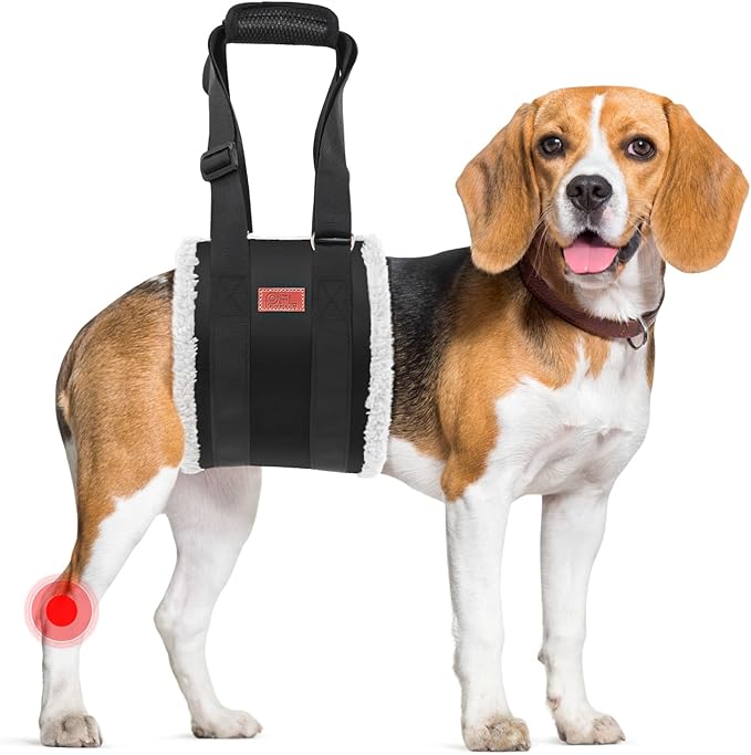 Adjustable Dog Sling for Medium Dogs Soft Post-ACL Surgery Mobility Aid | Dog Lift Harness, Helps Seniors, Injured, Disabled and After ACL Surgery Dogs, Daily Walk/ Stairs, Soft Padded, Easy to Use