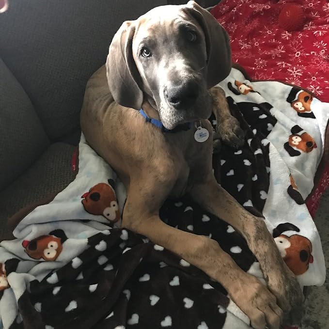 Snuggle Puppy Fleece Blanket for Dogs, Washable, 48 x 30 in - Blue