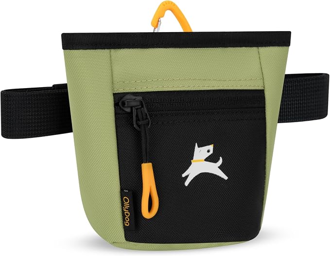 OllyDog, Goodie Treat Bag, Dog Treat Training Pouch | Magnetic Closure | 3 Ways to Wear | Hands-Free Waist Belt | Water-Resistant Recycled Vegan Fabric (Palm)