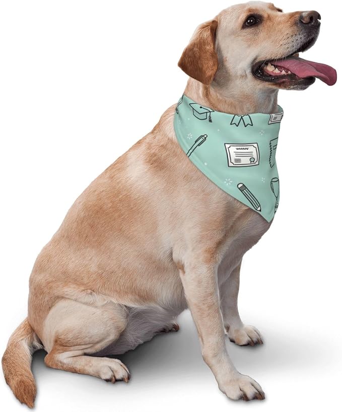 Teacher's Pet Dog Bandana,Funny Bandana Gift,Photo Prop Accessories for Dog Lovers Owner Gift,Triangle Reversible Fall Scarf, Adjustable (Light Green)