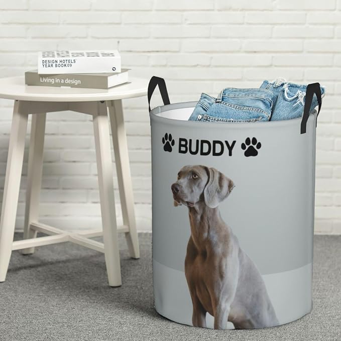 Personalized Large Dog Toy Storage Basket Bin Collapsible Custom Pet Stuff Box Chest Container for Living Room Organizer for Dog Toys,Dog Food,Blankets,Clothing (Grey)