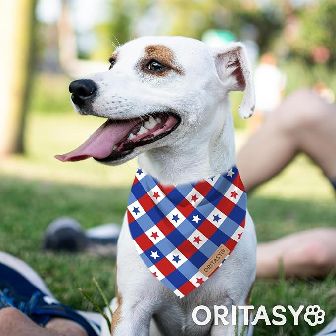 4th of July Patriotic Dog Bandanas, 2-Pack Triangle Reversible Pet Scarves, Premium Fabric, US American Flag Bandana for All Dogs (Large, Style 25-2)