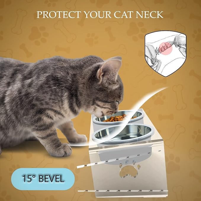 Raised Cat & Dog Bowl, Elevated Pet Feeding Station with 15 Tilted Neck Protective Acrylic Stand, Double Stainless Steel Bowls, for Small, Medium, Large Cats & Dogs