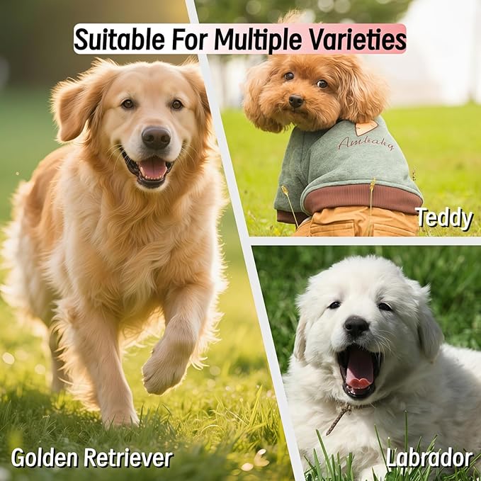 2pcs Slicker Brush for Dogs & Pet Comb Set, Professional Dog Grooming Brush for Goldendoodles, Poodles, Labradoodles, Dog Brush with Extra Long Pins to Effectively Remove Tangles, Knots and Mats
