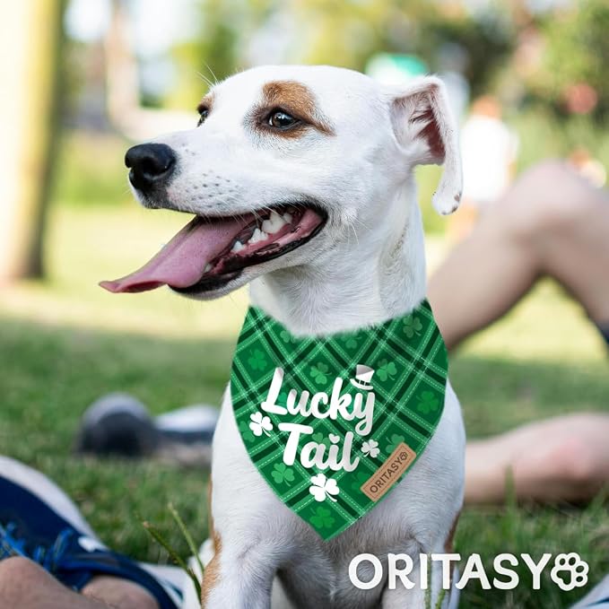 St. Patrick's Day Dog Bandanas, 2-Pack Triangle Reversible Gnomes Pet Scarves, Premium Fabric, Bandana for All Boys Girls Dogs (Lucky Charm, One Size)