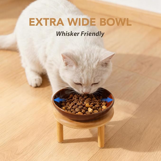 Havniva Elevated Cat Bowls, Ceramic Cat Bowl with Bamboo Stand Wide Opening | 5.7” Raised Cat Food Bowls, Whisker Friendly Cat Dish, Anti-Slip Cat Water Bowls, Shallow Cat Bowls, Cat Food & Water Bowl